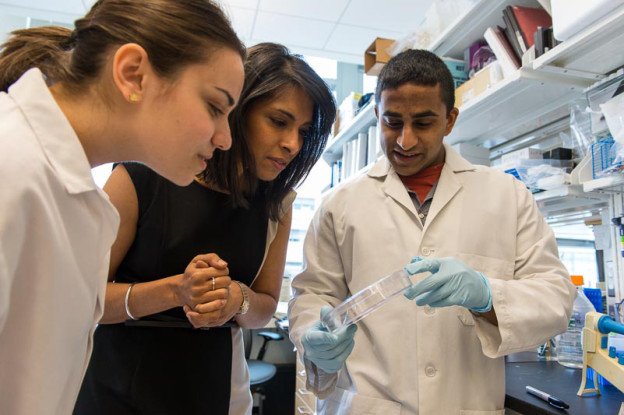 Mini Human Livers Built with 3D Printing