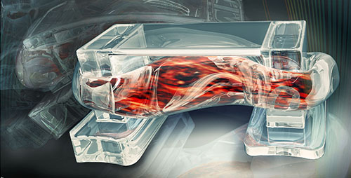 3D Printed Muscle-Powered Walking Bio-Bots